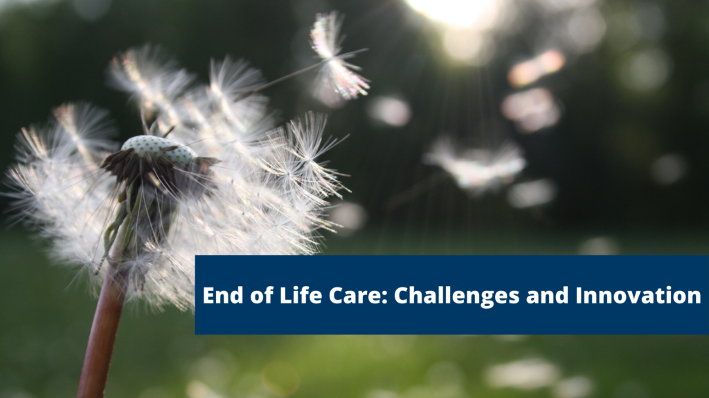 Dandelion blowing in the wind with text on top saying "End of Life Care: Challenges and Innovation"